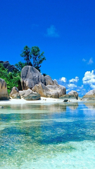 Summer Tropical Beach iPhone Wallpaper