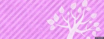 Timeline Cover Background Entheos