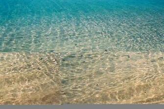 Caribbean Sea Wallpaper Funny Pictures Image