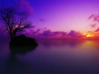 Pink And Purple Fog Sunset Cool Wallpaper