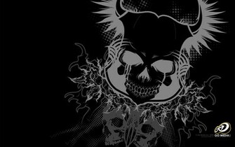 Bones Background Texture Photo Skull And