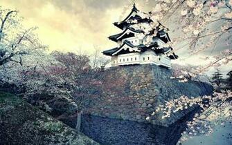 Wallpaper City Sakura Japan Spring Ultra HD 4k
