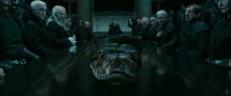 Lord Voldemort S Snake From Harry Potter And The Deathly Hallows