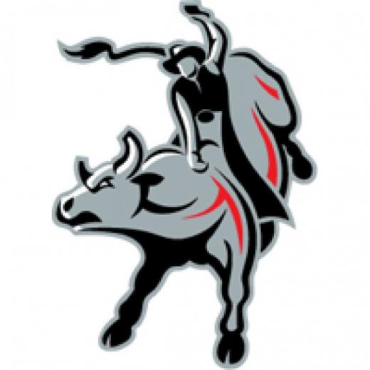 Brazil Touro Pbr The Vector Logo Of Brand