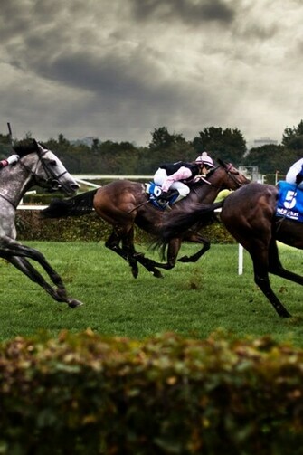 Horse Racing UHD Wallpaper Ultra High Definition 4k