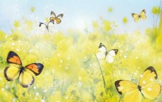 Wallpaper Animated Butterfly