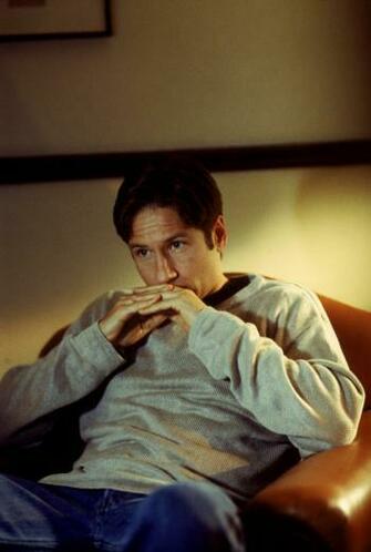 David Duchovny Wallpaper X Net