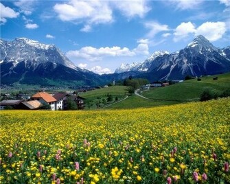 Nature Wallpaper