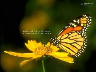 Wallpaper Bible Verses Desktop