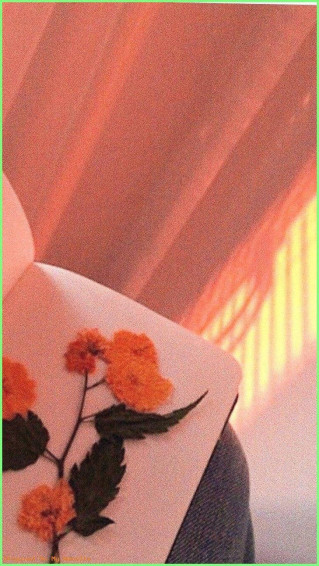 Top Pastel Orange Aesthetic Wallpaper Full HD 4k To Use