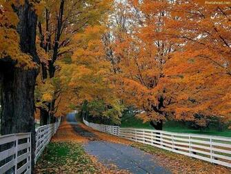 Autumn Screensavers Wallpaper