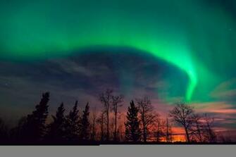 Northern Lights Sunset Trees Sluety Wallpaper Photos Pictures