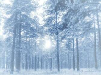 Winter Wallpaper HD For Desktop Computer
