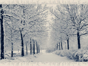 Winter Wonderland Wallpaper By Jennyriot