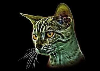 Bengalese Cat Mixed Media By Denis Bajan