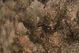 Lil Druzy Flavor Paper