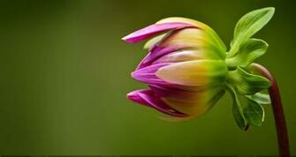 Beautiful HD Wallpaper Image In Collection