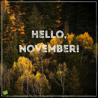Hello November HD Wallpaper