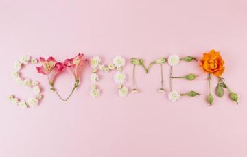 Wallpaper Summer Flowers Background Pink