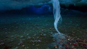 Url Wired Geekdad Frozen Planet Discovery