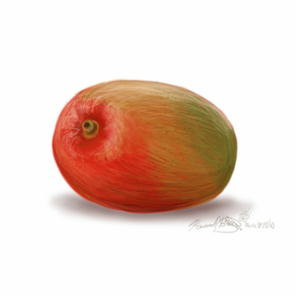 Mango HD Wallpaper