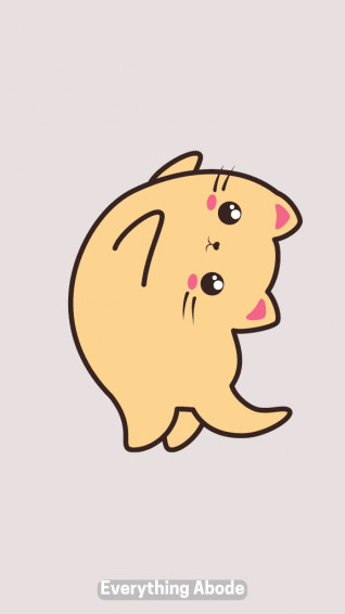 Cute Adorable Animal Wallpaper For iPhone Everything Abode