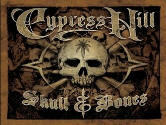 Skull And Bones Wallpaper Image Femalecelebrity