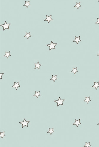 Real Teal Wallpaper iPhone Themes
