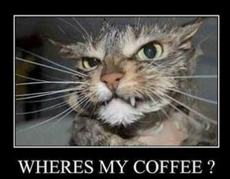 Funny Animals With Quotes Background Wallpaper