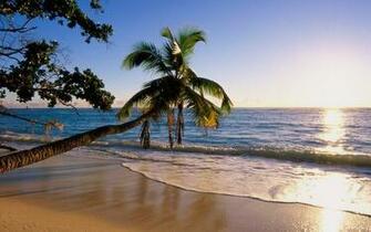 Tropical Island Beaches Sunset