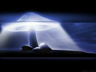 Wallpaper Pc Computer 3d Mushroom