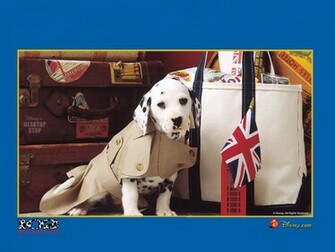 Dalmatians Wallpaper Picture