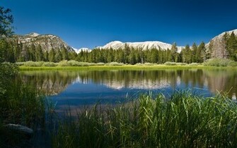 High Resolution Nature Wallpaper