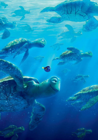 Nemo Ersm5r379j7qdlhf Wallpaper