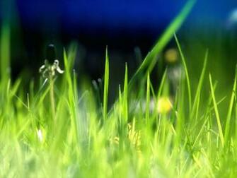Spring Garden Desktop Wallpaper Toptenpack
