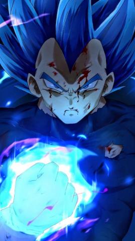Vegeta Ssb Dragon Ball Art Goku Anime