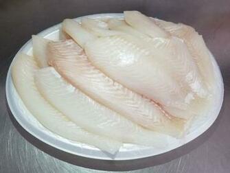 Hogfish Fillets 1lb Keys Fisheries