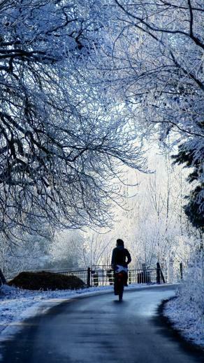 Winter iPhone Wallpaper Night Snow 5s