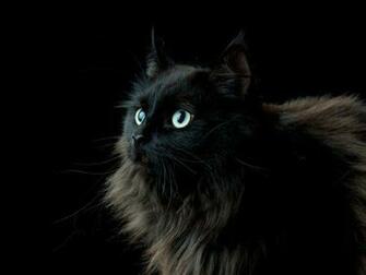 These Image Are Part Of Our Wallpaper And Screensavers More