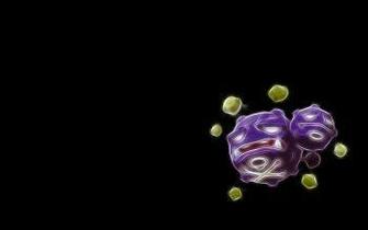 Poison Pok Mon HD Wallpaper Background