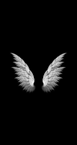 Angel Wings Simple iPhone Plus HD Wallpaper Ipod