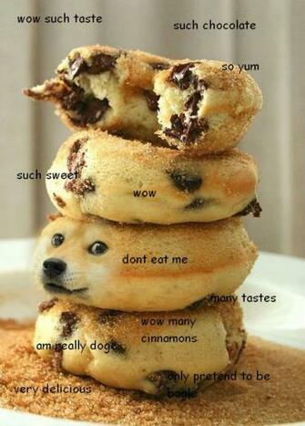 Wow Best Doge Memes Gifs And Comics Weknowmemes