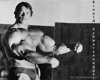 Arnold Schwarzenegger Wallpaper Bodybuilding