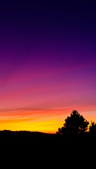 Twilight Wallpaper For Phone