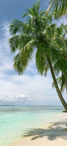 Beach Phone Wallpaper