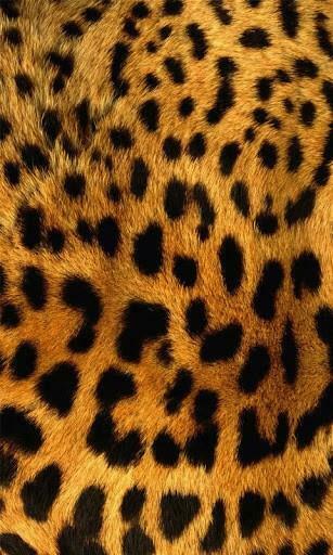 Animal Skin Live Wallpaper Screenshot