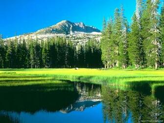 River Creek Wallpaper