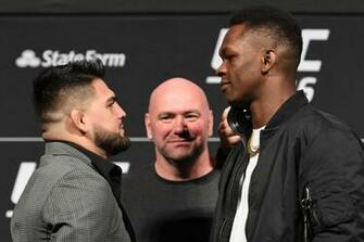 Ufc Fight By