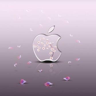 Desktop Wallpaper iPad HD Background