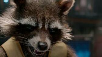 Guardians Of The Galaxy Rocket Raccoon Wallpaper HD